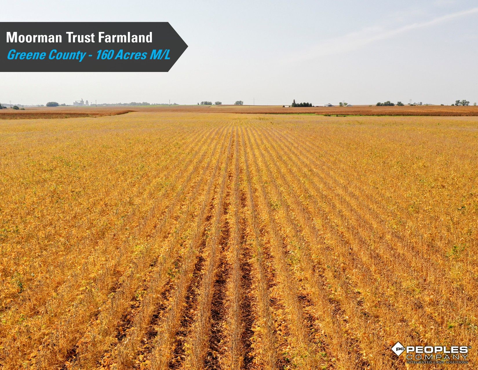 Listing Photo: Greene-County-Iowa-Farmland-Auction-160-Acres-Moorman-Rippey-IA-18618 (21)